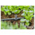 GARDENA 13216-20 Micro-Drip T-piece 4.6mm 5 pcs Easy & Flexible setup