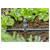 GARDENA 13216-20 Micro-Drip T-piece 4.6mm 5 pcs Easy & Flexible setup