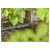 GARDENA 13220-20 Micro-Drip-System Connector 13mm Easy Install Euro Quality