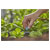 GARDENA 13306-20 Micro-Drip Small Area Nozzle 10-40cm Adjustable Radius