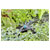 GARDENA 13306-20 Micro-Drip Small Area Nozzle 10-40cm Adjustable Radius