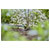GARDENA 13307-20 Micro-Drip-System Final Drip 2 L/h Easy Connection