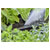 GARDENA 13318-20 Micro-Drip-System Nozzle 2.75m range Easy Install