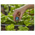 GARDENA 13324-20 Micro-Drip Sprayer 6-in-1 Adjustable Spray Patterns