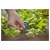 GARDENA 13324-20 Micro-Drip Sprayer 6-in-1 Adjustable Spray Patterns