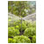 GARDENA 13326-20 Micro-Drip-System Pip Extension 13mm Ø 40cm Gain