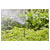 GARDENA 13326-20 Micro-Drip-System Pip Extension 13mm Ø 40cm Gain