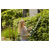 GARDENA 14730-55 ComfortCut Hedge Trimmer Light Cordless No Battery