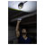 Hazet 1979N-82 Pocket Light LED Rechargeable 300lm Small Design Compact