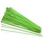 TruComponents 40252 Cable tie 250mm 2.80mm Grn Lum 100 pc(s)