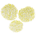 Kärcher 2.863-198.0 Polishing Pads Perfect for Stone PVC Linoleum