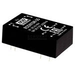 Mean Well RDDW10H-05 DC/DC converter 10W 2 outputs 1A 1 piece