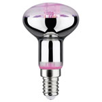 Paulmann 28734 LED Grow Light 230V E14 4W Amber 1pc Indoor Plant Growth