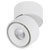 Paulmann 93373 Spircle LED Surface-Mount Light Swivel 90°/Rotate 360°