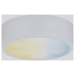 Paulmann 99954.0 CC Medal Plinth Lighting 2.30W Warm White Cabinet Light