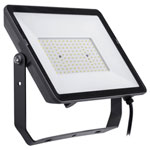 Philips 8719514954564 ProjectLine 100W LED Floodlight Waterproof Outdoor
