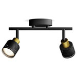 Philips 8720169300095 Niall Ceiling Floodlight GU10 Black/Gold 35W Max