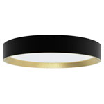 Philips 8720169301337 Hanno LED Ceiling Light 24W Black/Gold SceneSwitch