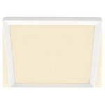 Philips 8720169347939 SceneSwitch LED Panel 15W Warm White Adjustable Light