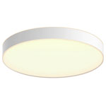 Philips 4116131P6 Hue LED Ceiling Light Warm to Cool White Bluetooth Control