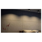 Philips 533003016 Phase Surface LED Light Black 4.5W Warm White Dimmable