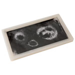 Shaw Magnets - Magnetic Field Display Window - White - 225 x 130 x 15mm