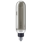 Philips 8719514315419 LED Lamp Warm White E-27 6.5W=25W 66x273mm