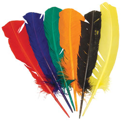 RVFM Assorted Coloured Turkey Quills - Pack of 14