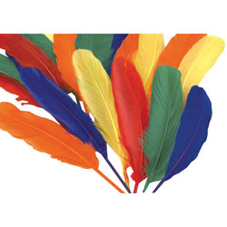 RVFM Assorted Coloured Duck Quills 18cm/20g Bag