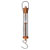 Rapid Plastic Spring Scale - 100g / 1N