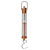 Rapid Plastic Spring Scale - 100g / 1N