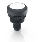RAFI 1.10.011.001/0221 RAMO 22 T Pushbutton 35V DC 0.1A Momentary