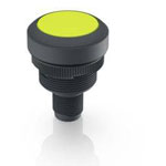 RAFI 1.10.011.001/0441 RAMO 22 T Pushbutton 35V DC 0.1A Momentary 1pc