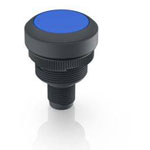 RAFI 1.10.011.001/0661 RAMO 22 T Pushbutton 35V DC 0.1A Momentary 1pc