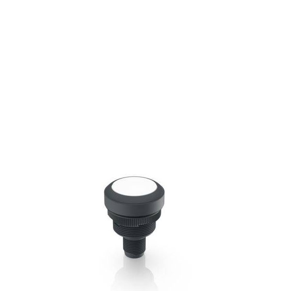 RAFI 1.10.011.201/0201 RAMO 22 T Pushbutton 35V DC 0.1A Momentary 1pc