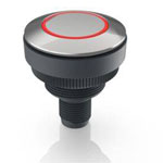 RAFI 1.11.011.801/0300 RAMO 30 T Pushbutton Momentary 35V 0.1A