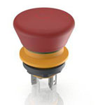 RAFI 1.15.213.002/0000 LUMOTAST 16 Pushbutton 2 Breakers 1pc