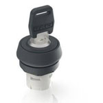 RAFI 1.30.076.021/0000 RAFIX 16 Key Switch 1x90° 1pc