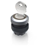 RAFI 1.30.245.202/0000 RAFIX 22 QR Key Switch 1x90° 1pc Compact Design