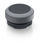 RAFI 1.30.270.001/0108 RAFIX 22 FS Pushbutton Momentary 29.8x29.8x18.5mm