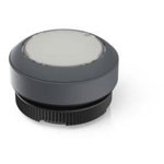 RAFI 1.30.270.901/2207 RAFIX 22 FS Illuminated Push Button 1pc 29.8x29.8 mm