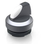 RAFI 1.30.272.027/2200 RAFIX 22 FS+ Push Button Illuminated 2x40° 1pc