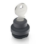 RAFI 1.30.275.101/0100 RAFIX 22 FS+ Key Switch 2x40° 1pc