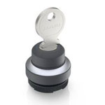 RAFI 1.30.275.102/0000 RAFIX 22 FS+ Key Switch 2x40° Rotation