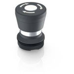 RAFI 1.30.276.001/2200 RAFIX 22 FS Kill Switch Latch 29.8x29.8x42.1mm