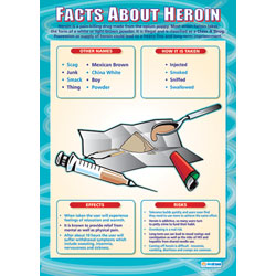 Facts About Heroin Wall Chart Poster