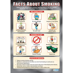 Facts About Smoking Wall Chart Poster