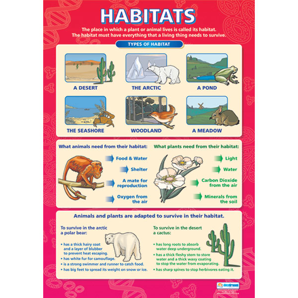 Habitats Poster | Rapid Online