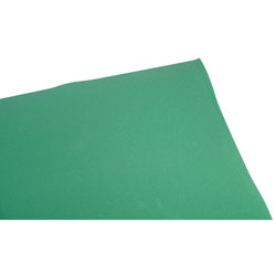Rapid Plastazote Foam Sheet Green 3mm