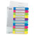 Leitz Index Print 1-10 WOW A4 PP Coloured